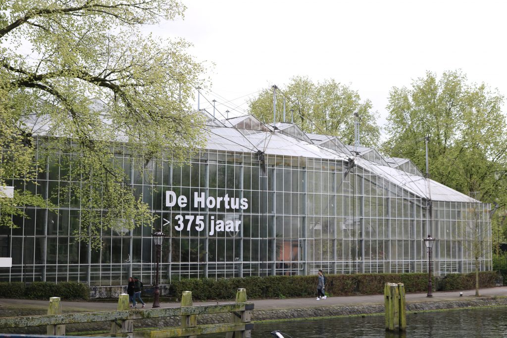 City Guide : Visiter Amsterdam en 4 jours Hortus Botanicus